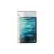 Lacquered lighter