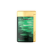 Lacquered lighter