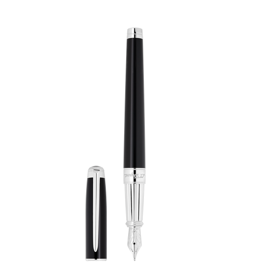 Fountain pen Large