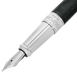 Fountain pen medium