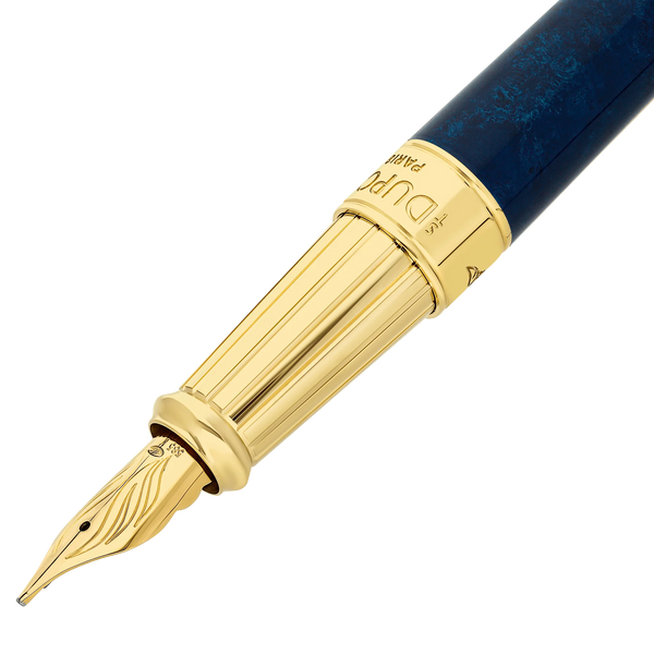Fountain pen large