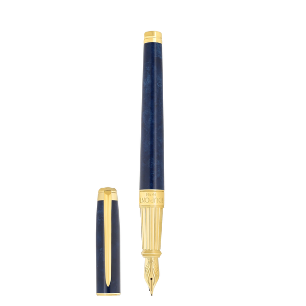 Fountain pen large