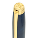 Fountain pen large