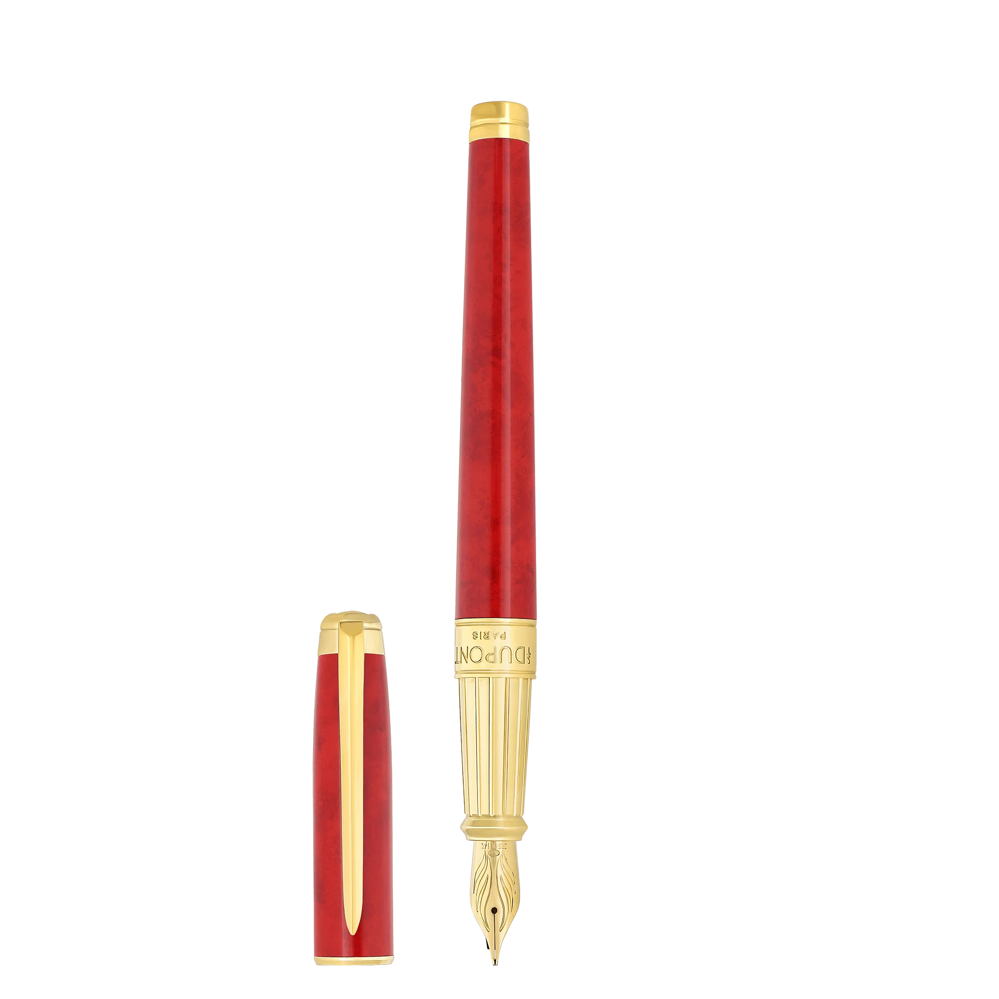 Fountain pen large