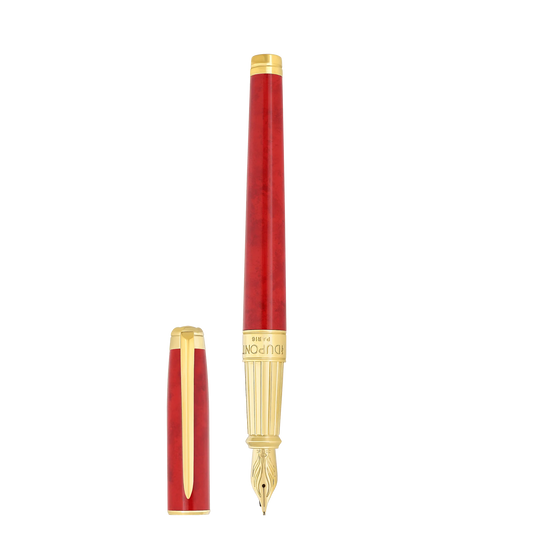 Fountain pen large
