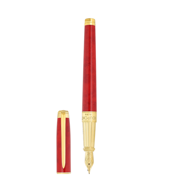 Fountain pen large
