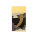 Lacquered lighter